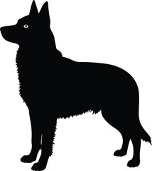 vector illustration of a dog