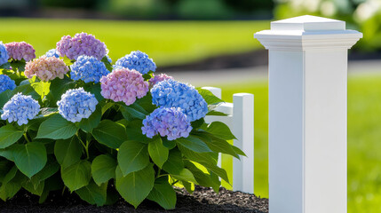 Purple hydrangeas cascading beside weathered white picket fence, framing quintessential countryside garden landscape with soft floral elegance