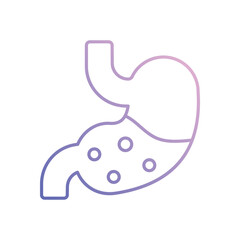 Stomach vector icon