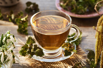 Nettle tea in a glass cup in spring. Herbal medicine.