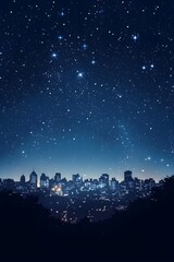 Naklejka premium The dazzling silhouette of the city skyline at night