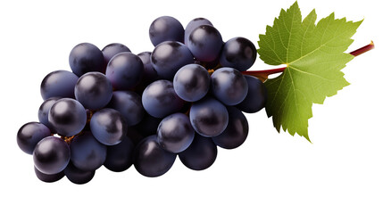 Fototapeta premium Close up of a bunch of dark purple grapes with a green leaf perfect for wine food and beverage advertising