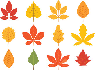 autumn leaves collection