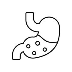 Stomach vector icon