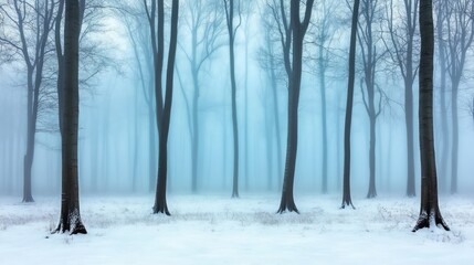 Obraz premium Trees stand in snow, foggy woods. Winter scene, light blue hue. Serene, peaceful, landscape