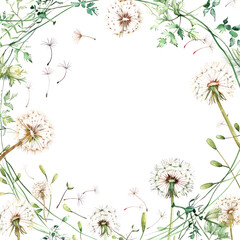 Obraz premium PNG Dandelion frame blossom flower plant.