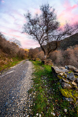Invierno en el camino