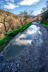 Charcos en el camino