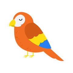 Parrot bird vector illustration