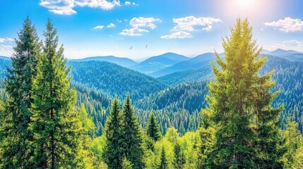 Obraz premium Breathtaking scenic view of pine forested mountains nature landscape daytime vibrant colors peaceful atmosphere