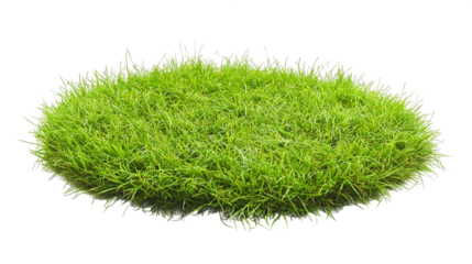 A Patch of Lush Green Grass Isolated on Transparent Background, PNG