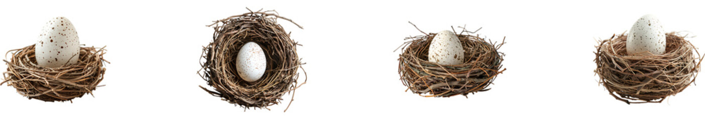 Egg in nest on transparent background collection set