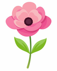Vibrant pink flower illustration with layered petals and dark center