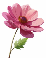 Close-up of a vibrant pink flower with delicate petals and rich details