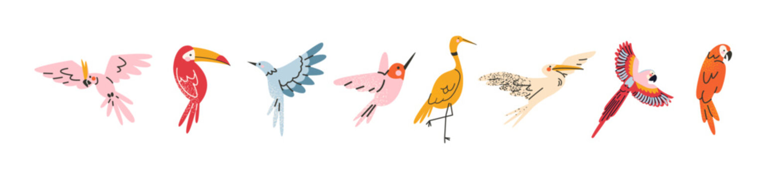 Exotic tropical birds and parrots in cartoon retro style. Jungle inhabitants, rare birds, hummingbird, heron, toucan. Vector hand drawn doodle style