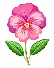 Vibrant pink flower illustration with detailed petals and center