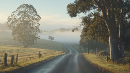 Fototapeta premium Misty morning road winding through farmland.
