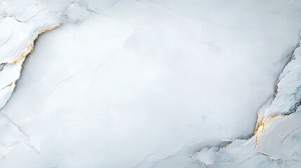 Fototapeta premium Marble Texture with Elegant Vein Patterns
