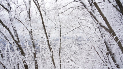 Snowy landscape of Juwangsan Mountain in Korea