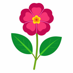 Bright pink flower with yellow center and green leaves on white background