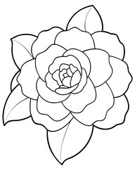 Close-up view of a delicate flower with soft petals in a serene garden