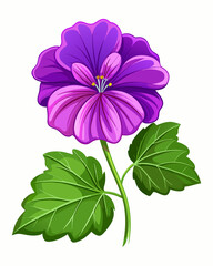 A vivid purple bloom with rich green foliage illustrated against a clean white backdrop