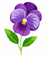 Vibrant purple orchid flower illustration with delicate petals and details