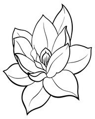 Close-up of delicate white flower petals with green leaves in nature