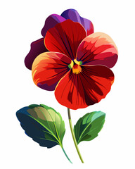 Vibrant red and purple pansy flower illustration on a white background