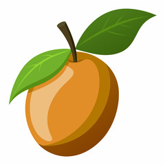 Close-up of a vibrant orange fruit with green leaves on a white background