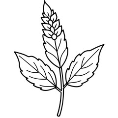 Detailed illustration of a plant with leaves and buds against a plain background