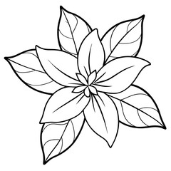 Close-up of intricate green leaves against a soft blurred background