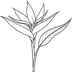 Intricate line drawing of a tropical plant with detailed foliage design