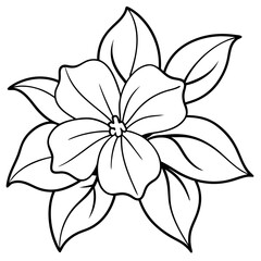 Elegant white flower with intricate petals against a soft background
