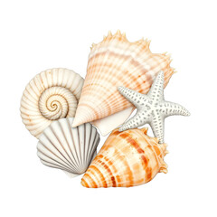 Obraz premium Colorful Seashells and Starfish Arrangement on Black Background