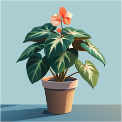 Vibrant tropical plant with striking leaves and flowers against blue