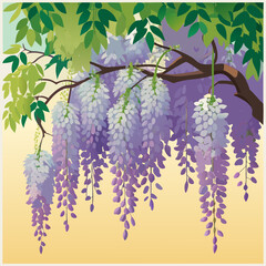Vibrant Wisteria Blossoms Under Lush Green Leaves in a Serene Garden