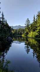Idyllic Landscape with Tranquil Lake Reflecting Pine Trees and Mountains Under Clear Sky