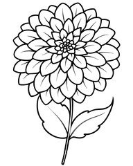 Detailed black and white illustration of a dahlia flower with petals