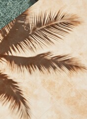Palm shadow on poolside patio