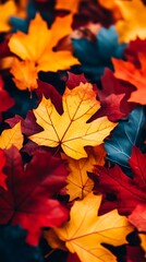 Fototapeta premium Vibrant autumn leaves in a colorful and textured seasonal display
