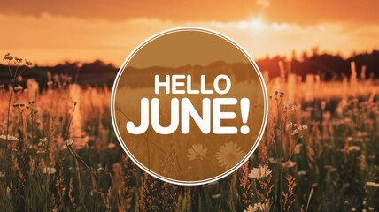 Golden Sunset with 'Hello June!' Overlay on Wildflower Field Generative aI
