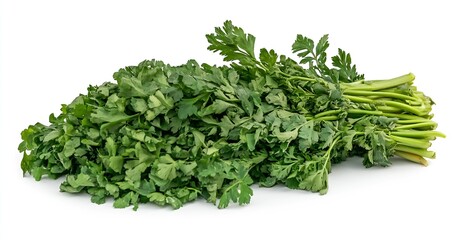 Fototapeta premium Lush Fresh Cilantro Piled Together Exuding Freshness and Aroma : Generative AI