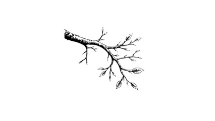 Vintage sketch of a branch with emerging leaves  