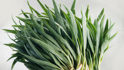 Obraz premium Fresh tarragon bunch on white