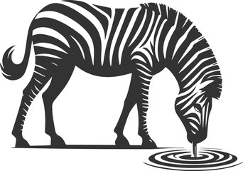 Zebra bending down to drink water animal vector