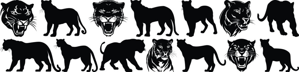 Panther silhouettes set, animal pack of vector silhouette design, isolated background