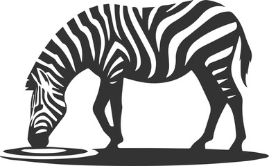 Zebra bending down to drink water animal vector