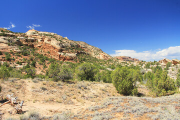 Rock Formations in Colorado National Monument Park with blue sky copy space.  Located in Fruita, Colorado, USA.