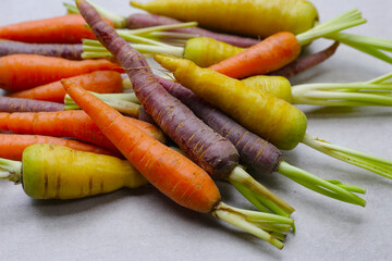 Fresh carrot vegetables, Ripe carrots